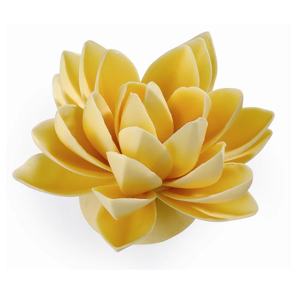 0e0f7ae7-c6e4-4b13-8393-a09bde9d2ba6